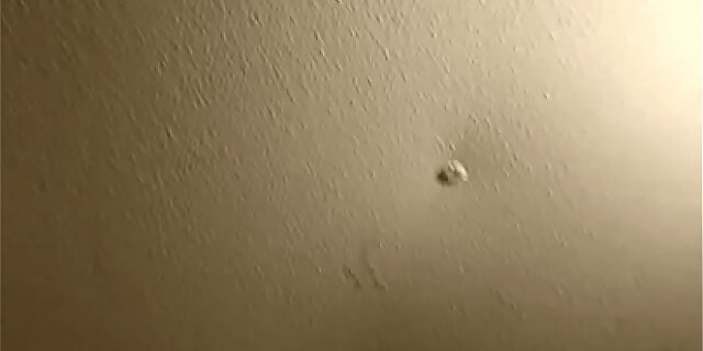 amateur,big cock,big tits,couple,cumshot,pregnant,redhead